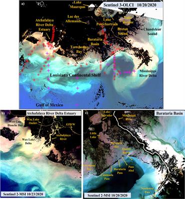 Dissolved organic carbon dynamics and fluxes in Mississippi-Atchafalaya deltaic system impacted by an extreme flood event and hurricanes: a multi-satellite approach using Sentinel-2/3 and Landsat-8/9 data